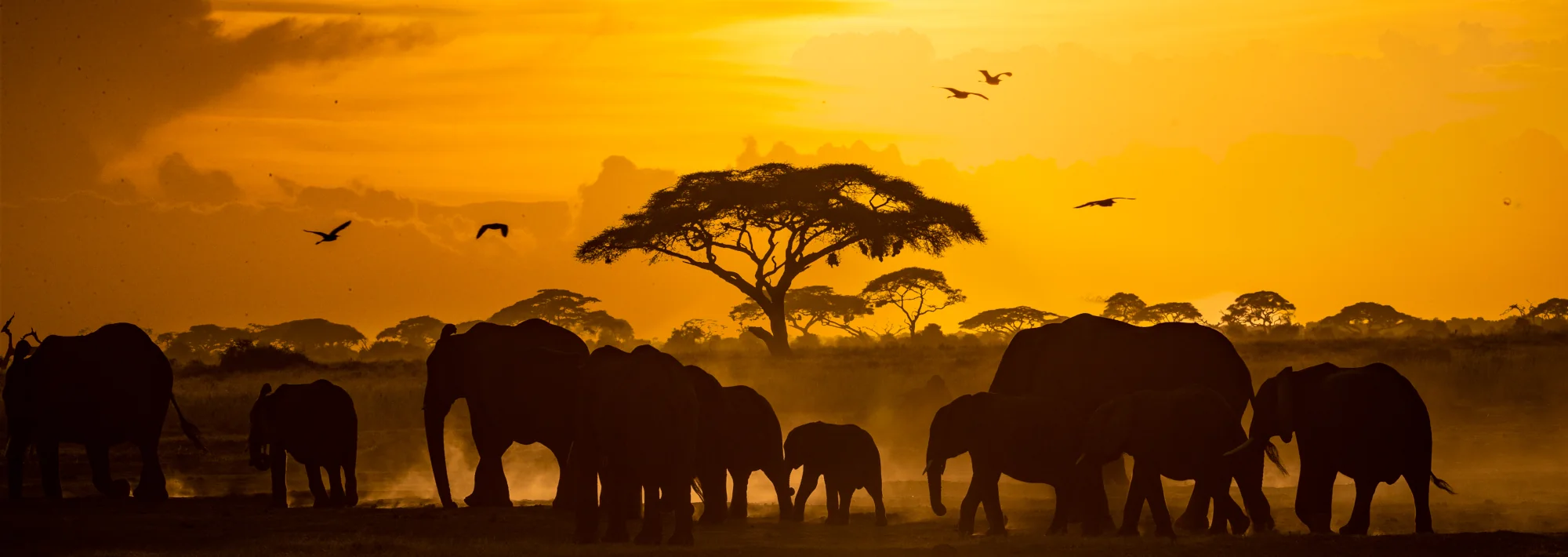 stability power networks